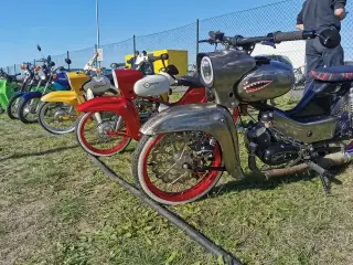 Event: Tage des Donners - die Börde bebt